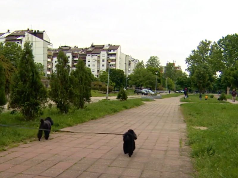 Naselje u Beogradu, Blok 44
