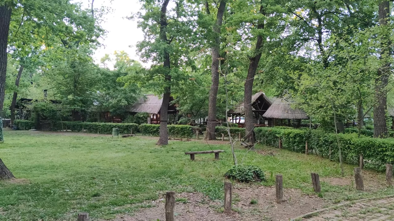 Zeleni deo Bojčinske šume sa drvećem i drvenim paviljonima